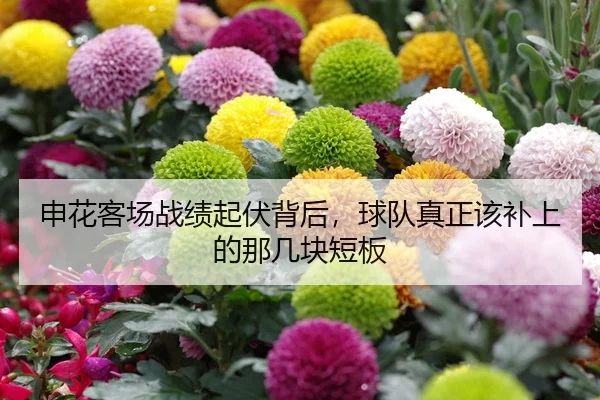 申花客场战绩起伏背后，球队真正该补上的那几块短板
